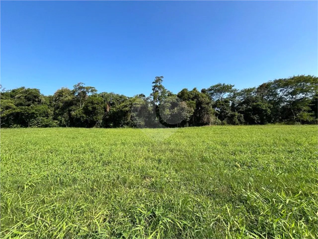 Área de Terra à venda em Riviera - SP - Foto 2