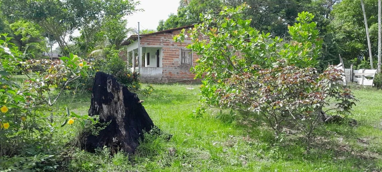 Vendo terreno com casa  - Foto 5