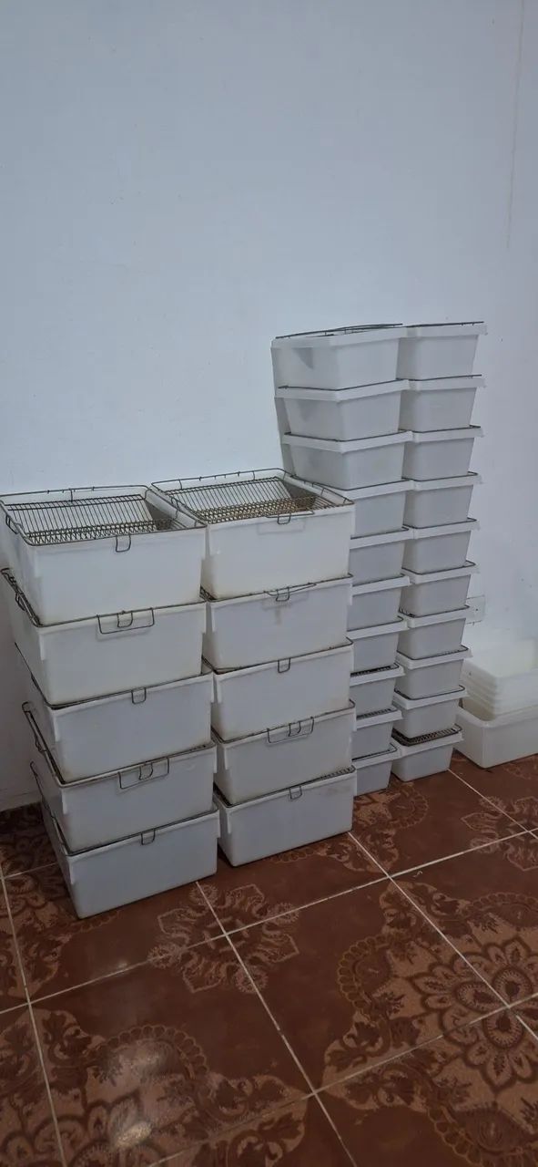 Caixa biotério para hamster e ratos mercol/twister  - Foto 4