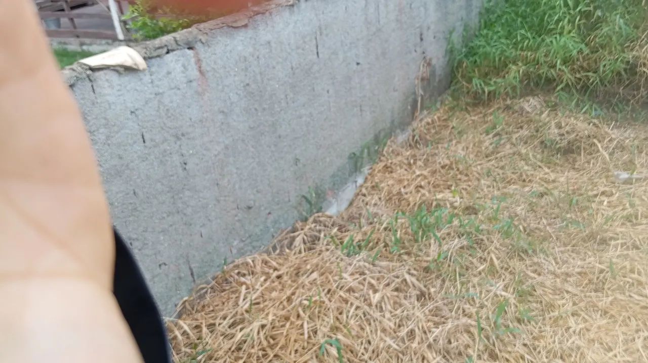 Foto - Maricá - Jardim Atlântico Central (Itaipuaçu)