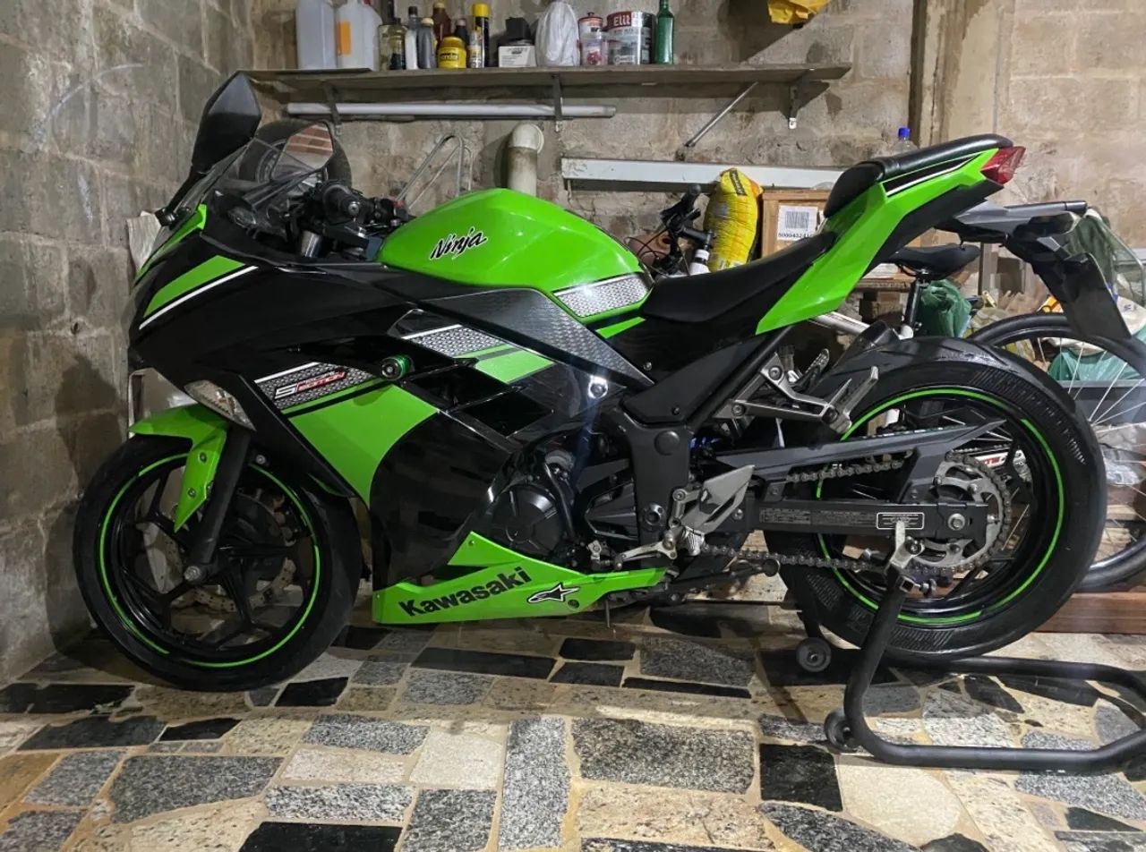 Ninja 300 Special Edition