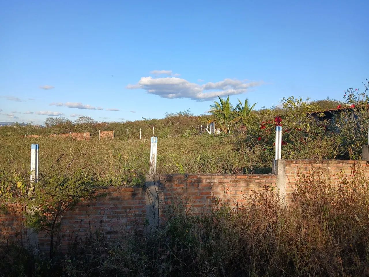 Terreno localização privilegiada no taquara - Foto 5