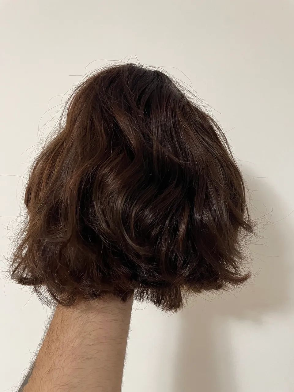 Peruca WIG Cabelo Humano (Corte Chanel) - Foto 3