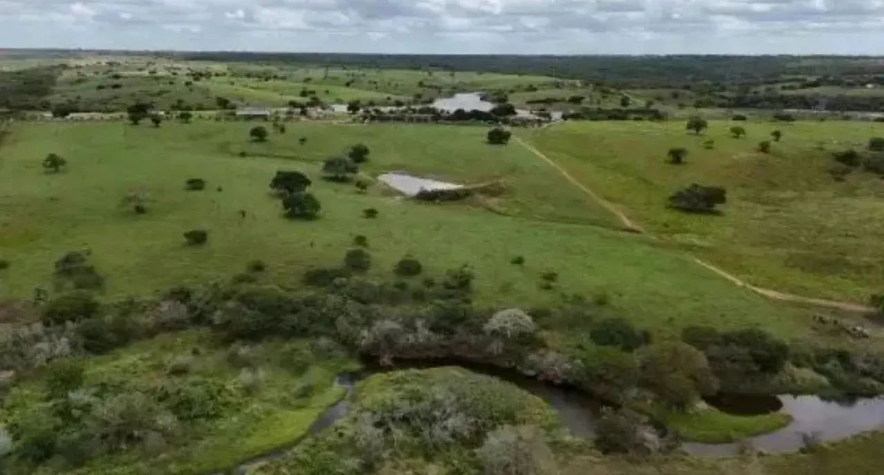 Fazenda Arapiranga a Venda 341 Hectares - Foto 6