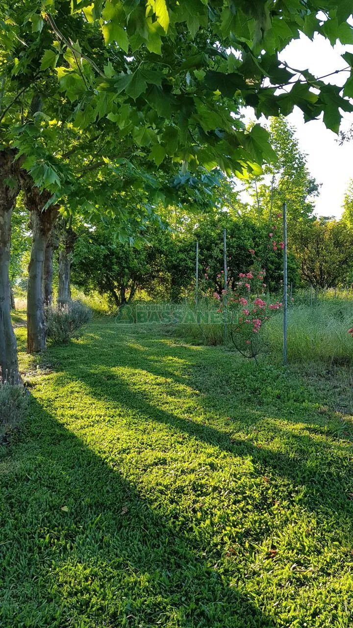 Terreno Centro Garibaldi - Foto 5