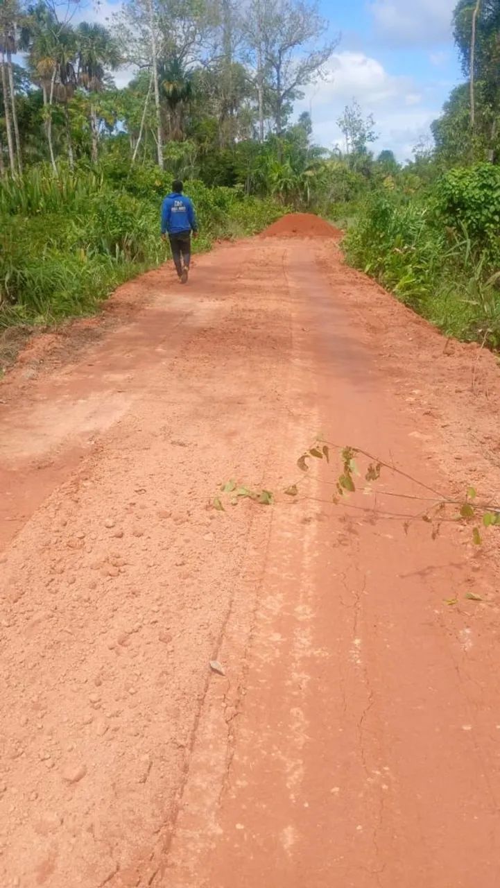 Vendo ou troco sitio no Roxinho - Foto 3