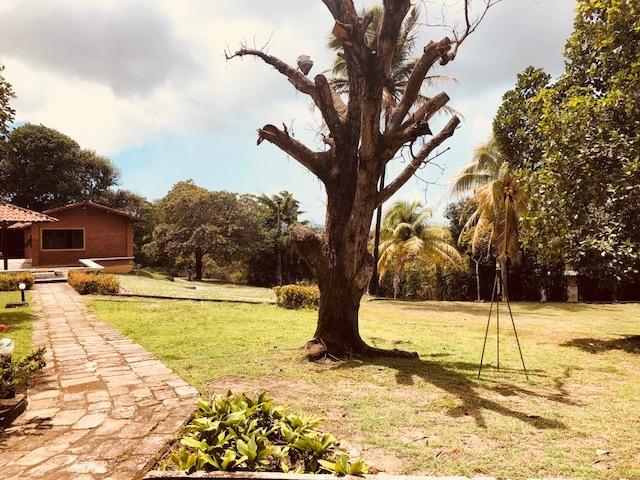 Chácara toda montada com 2 casas, ideal para retiros, clínicas de recuperação, eventos - Foto 12