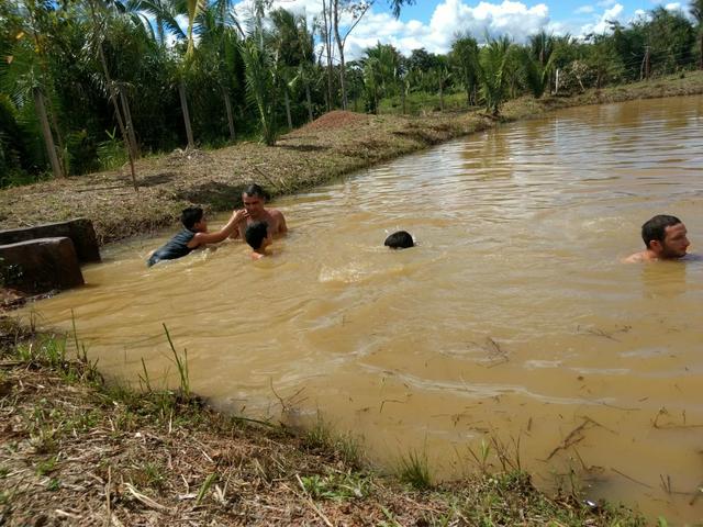 Venda de um sítio em Bacabeira.zap 98( * - Foto 4
