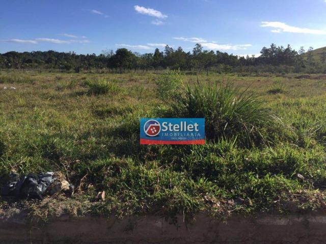 Terreno residencial à venda, Centro, Casimiro de Abreu. - Foto 10