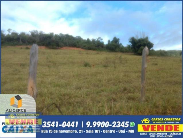Chácaras em Ubá - Córrego do Emboque - Foto 2