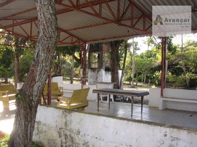 Chácara com 3 dormitórios à venda, 20000 m² por R$ 500.000,00 - Carne de Vaca - Goiana/PE - Foto 6