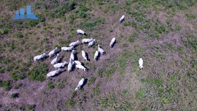 FAZENDA PARA GADO DE 14.950 HECTARES NA REGIÃO DE POCONÉ-MT - Foto 18