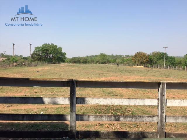 Sítio/Haras em Cuiabá com 50 baias para cavalos, 600 mts de rodovia - Foto 8