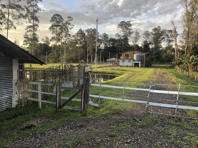 Sítio de 2,5 hectares - Foto 13
