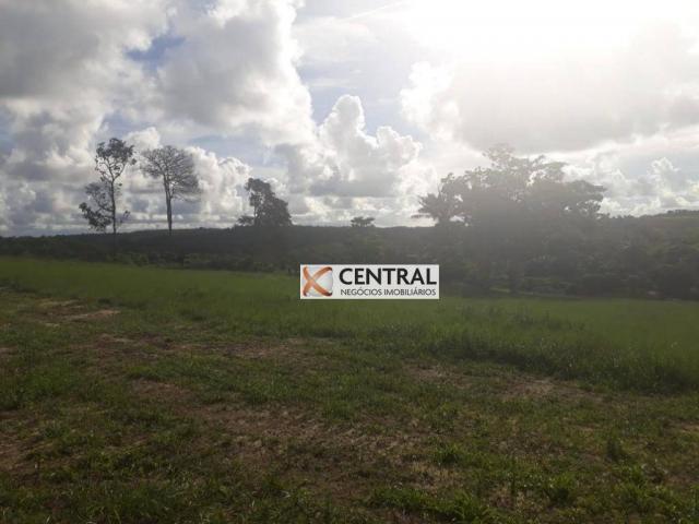 Fazenda à venda, 834268 m² por R$ 800.000,00 - Zona Rural - Mata de São João/BA - Foto 10