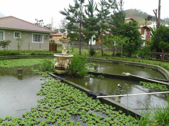 Terreno residencial à venda, Vargem Grande, Teresópolis. - Foto 5