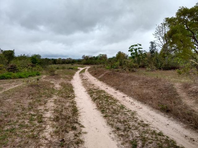 Fazenda 242 hectares, Rica em água. 140 km de CG - Foto 6