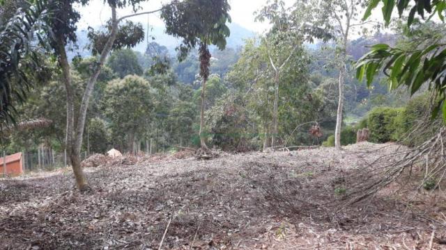 Terreno à venda, 1575 m² por R$ 150.000 - Fazenda Boa Fé - Teresópolis/RJ - Foto 5