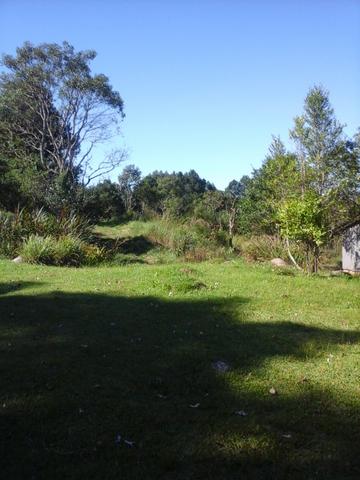 Chácara no asfalto - Mandirituba - 10.000M2 - Casa seminova 70 m2 - Foto 3