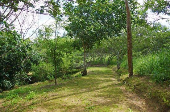 Terreno à venda no Condomínio Monte Verde , 2500 m² - Indianópolis - Caruaru/PE - Foto 5