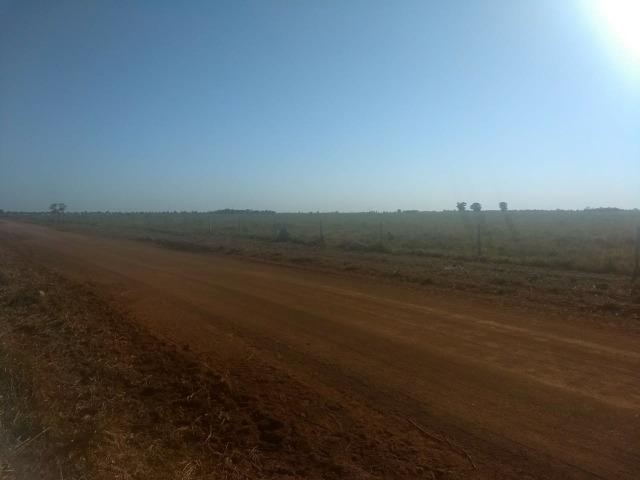Fazenda Cocalinho MT - Foto 4