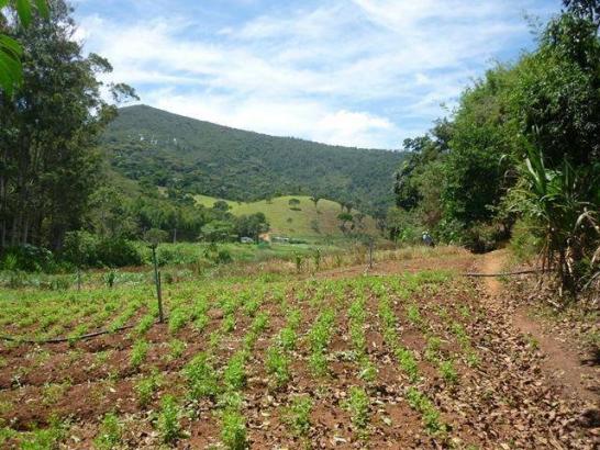 Fazenda rural à venda, Serra do Capim, Teresópolis. - Foto 17