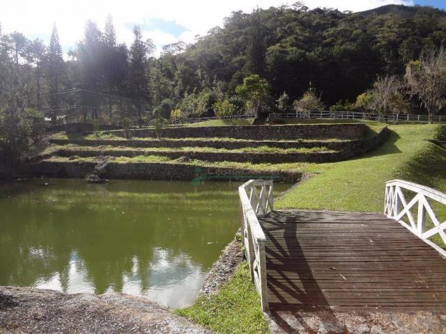 Sítio rural à venda, Córrego das Pedras, Teresópolis. - Foto 3