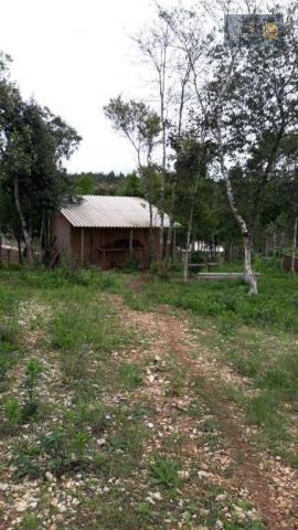 Chácara à venda, proximo a Igreja do Rosário em Colombo - PR - Foto 4