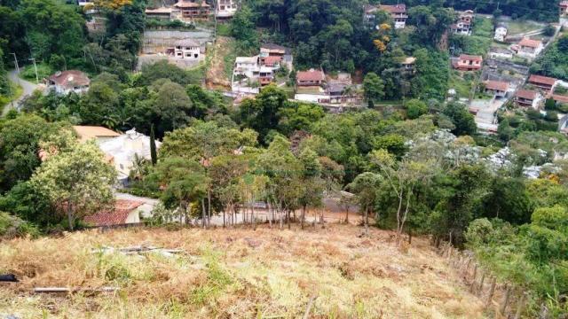Terreno residencial à venda, Quinta da Barra, Teresópolis. - Foto 3