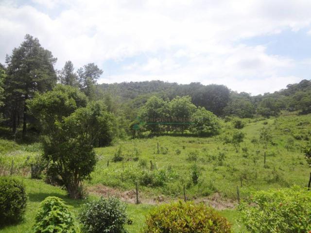 Sitio com 780.000 m² por R$ 1.150.000 - Ponte Nova - Teresópolis/RJ - Foto 3