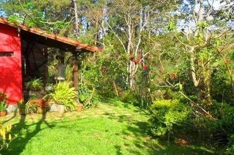 Sítio rural à venda, Colônia Alpina, Teresópolis. - Foto 8