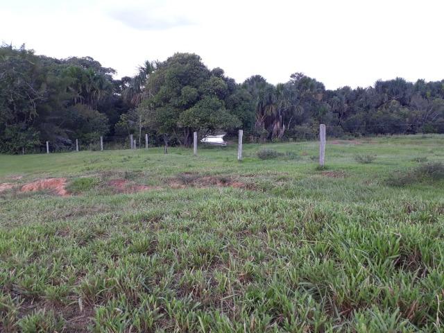 Fazenda Terra de cultura em Arenapolis - Foto 13