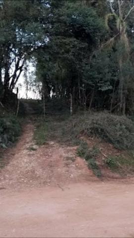 Terreno - Foto 3