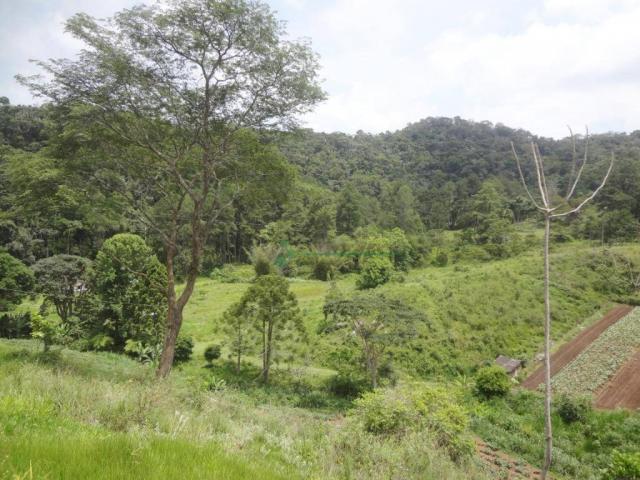 Sitio com 780.000 m² por R$ 1.150.000 - Ponte Nova - Teresópolis/RJ