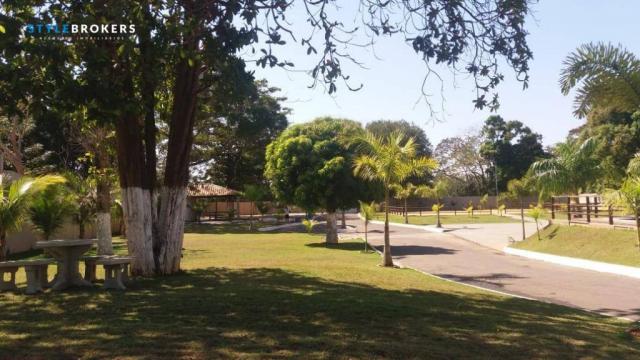Chácara em Bonsucesso com 3 dormitórios à venda, 3600 m² por R$ 1.300.000 - Bairro Jardim - Foto 14