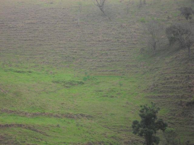 Área Venda Nova - Foto 9
