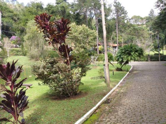 Terreno Teresópolis - Foto 6