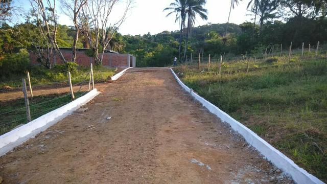 Terreno - Foto 4
