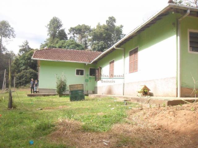Sítio rural à venda, Venda Nova, Teresópolis. - Foto 2