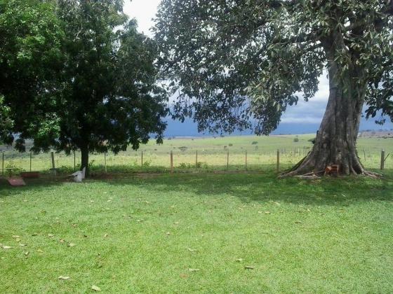 Chácara à venda, 20000 m² por R$ 350.000,00 - Zona Rural - Presidente Venceslau/SP - Foto 15
