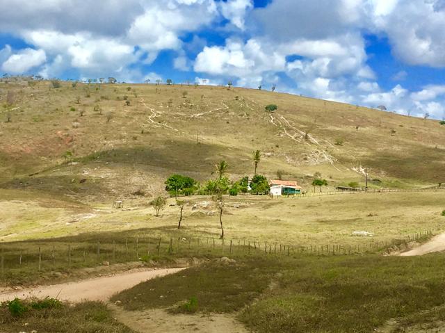 Fazenda em Boa Nova BAHIA com 167he - Foto 8