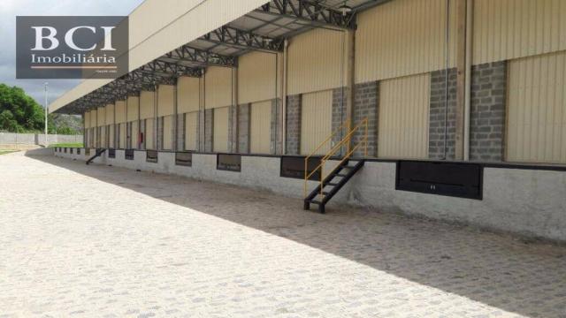 Galpão comercial para locação, Rurópolis, Ipojuca. - Foto 6