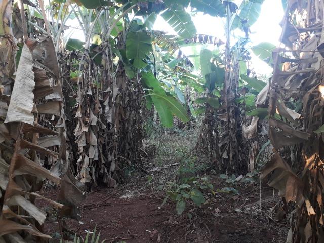 Chácara em Acorizal 38,2 hectares - Foto 13