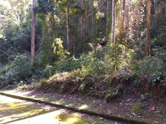 Terreno Teresópolis - Foto 10