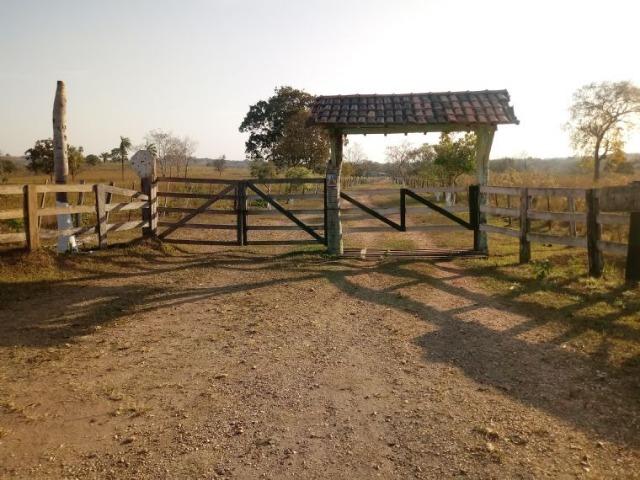 Fazenda 163 hec em Acorizal, próximo chapéu do sol