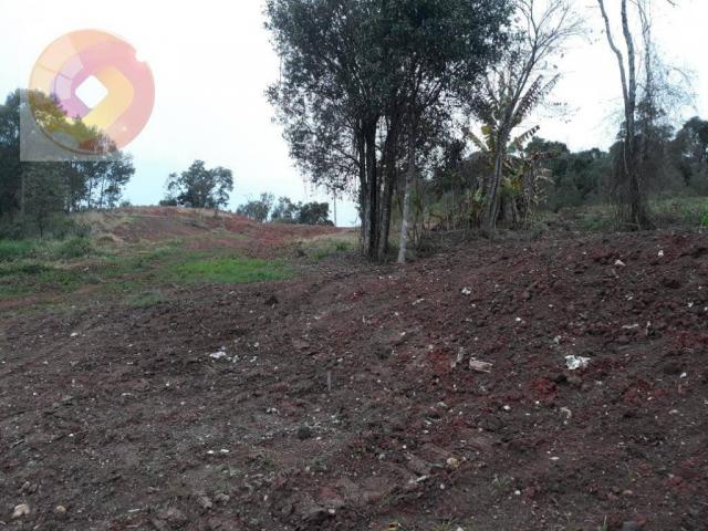 Chácara à venda, 23000 m² por R$ 180.000 - Palmerinha - Campina Grande do Sul/PR - Foto 5