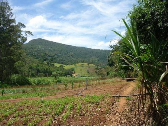 Fazenda rural à venda, Serra do Capim, Teresópolis. - Foto 20