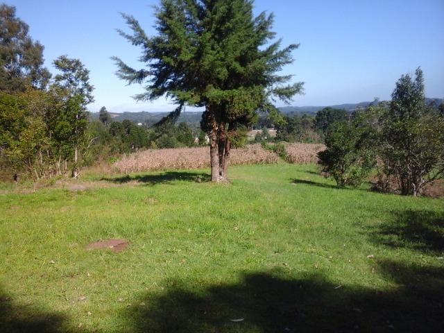 Chácara no asfalto - Mandirituba - 10.000M2 - Casa seminova 70 m2 - Foto 4