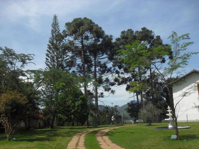 Sítiio em Teresópolis - Foto 10