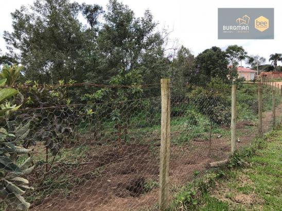 Chácara à venda, proximo a Igreja do Rosário em Colombo - PR - Foto 14